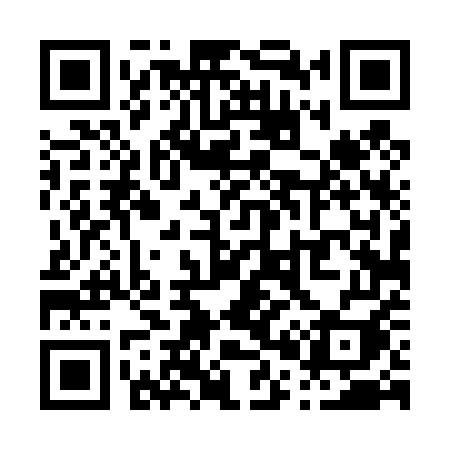 QR code for P0445I