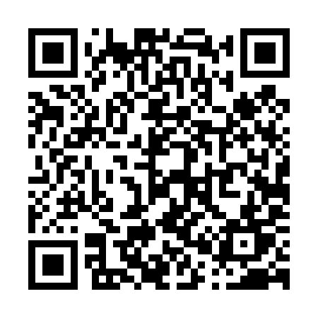 QR code for P0449T