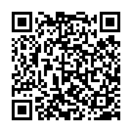 QR code for P0461S