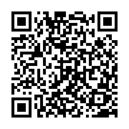 QR code for P0516Z