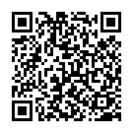 QR code for P0547P