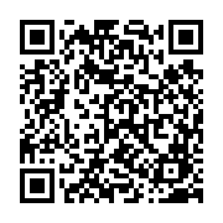 QR code for P0566N