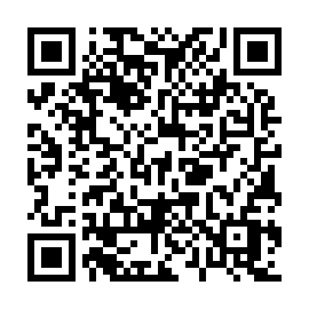 QR code for P0593V