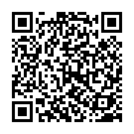 QR code for P0607I