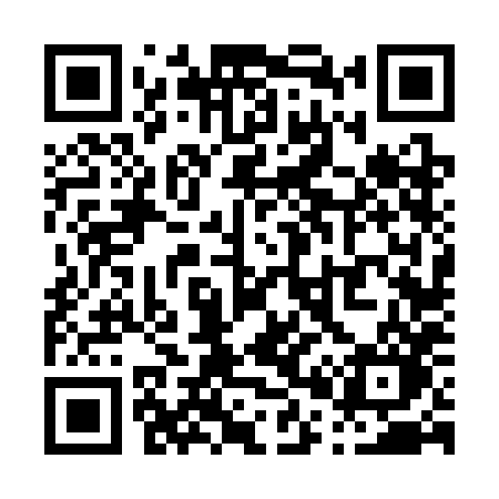 QR code for P063HO