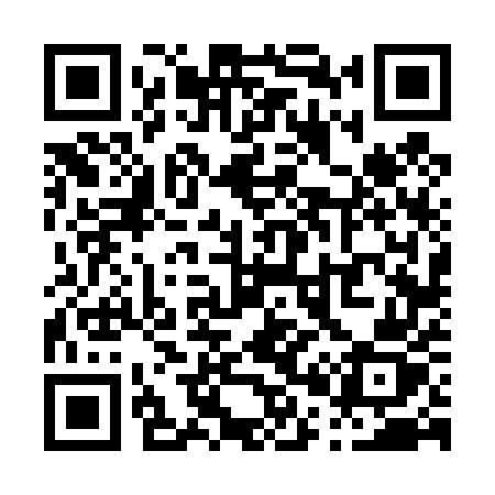QR code for P0645Z