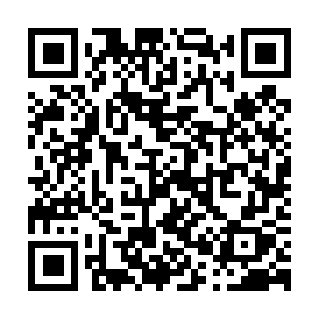 QR code for P0647X