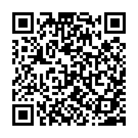 QR code for P0658I