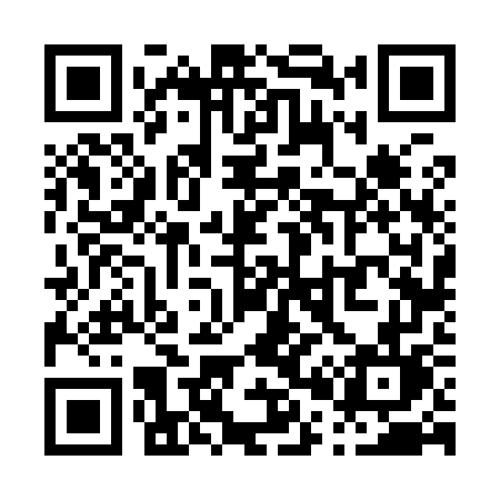QR code for P0697L