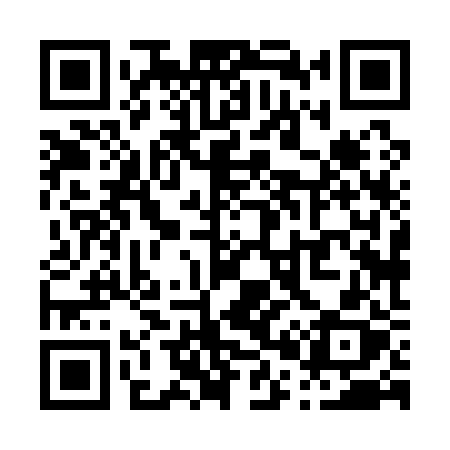QR code for P0812X