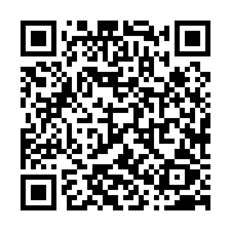 QR code for P0812Z