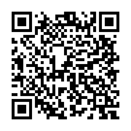 QR code for P0856I