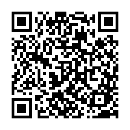 QR code for P0924O