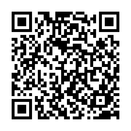 QR code for P0931N
