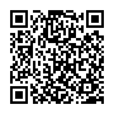 QR code for P0972T