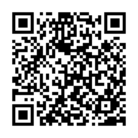 QR code for P0981N
