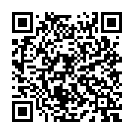 QR code for P101VH