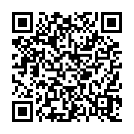 QR code for P102AV