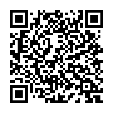 QR code for P106UD