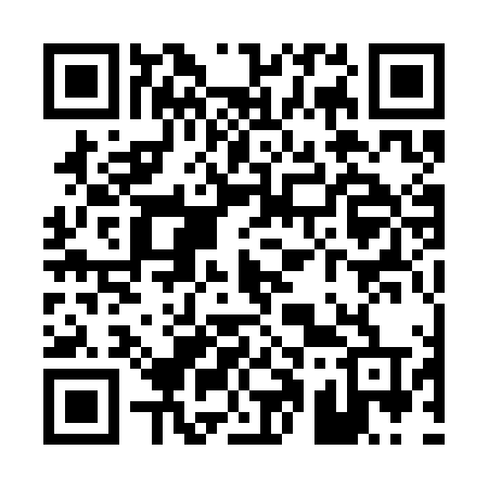 QR code for P113LT