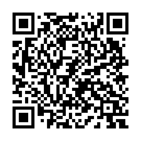 QR code for P1160S