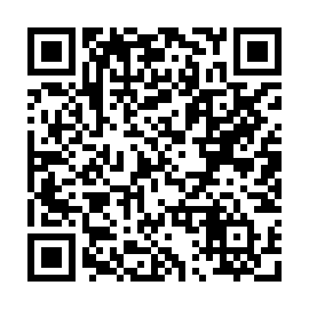QR code for P118NT