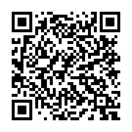 QR code for P118SA