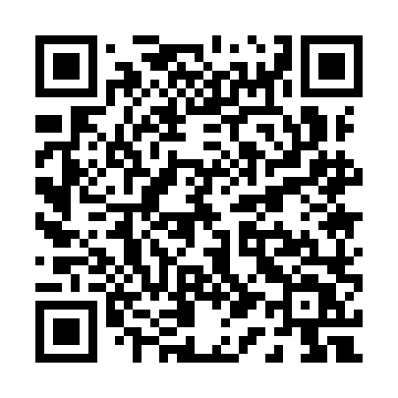 QR code for P119LT
