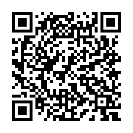 QR code for P119XS