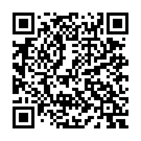 QR code for P11DJG