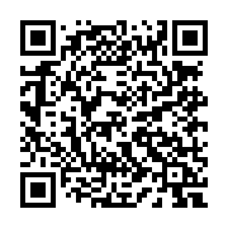 QR code for P11LMC