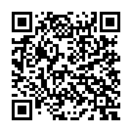 QR code for P128DG
