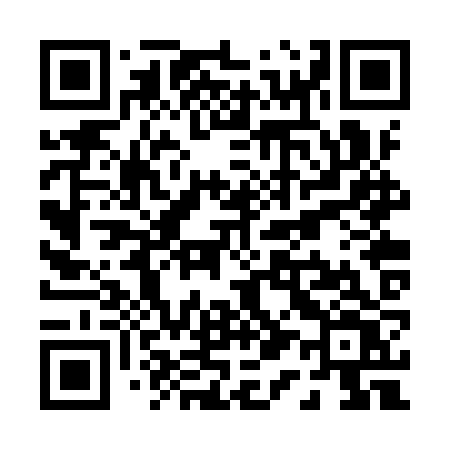 QR code for P12YZV