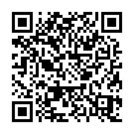 QR code for P1383Q