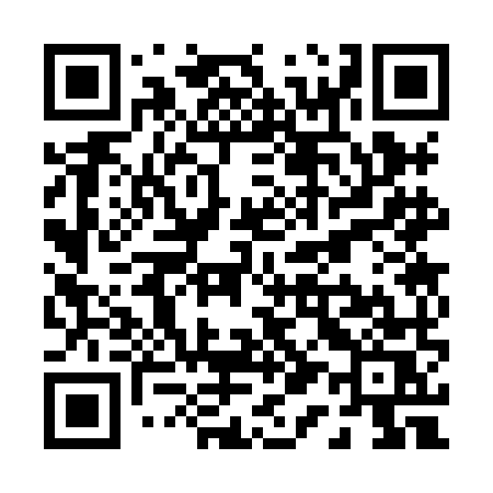 QR code for P138MS
