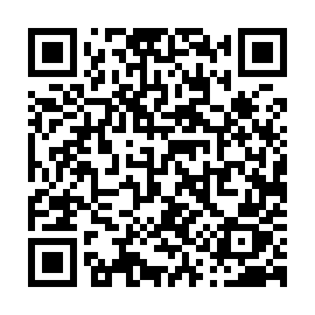 QR code for P1495Z