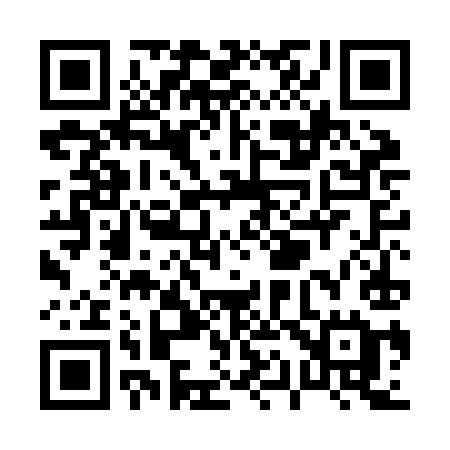 QR code for P14JIE