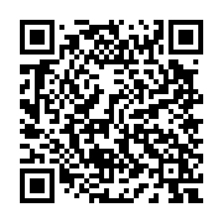 QR code for P1504Z