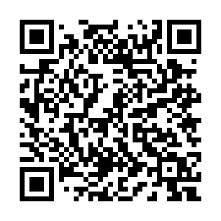 QR code for P150CT