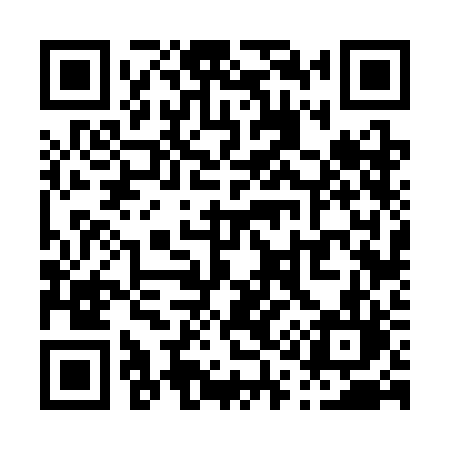 QR code for P163BL