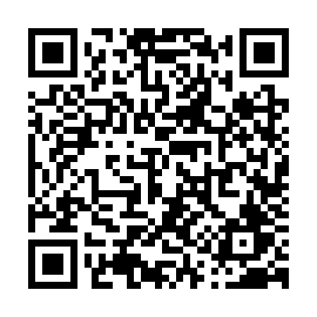 QR code for P163ZV