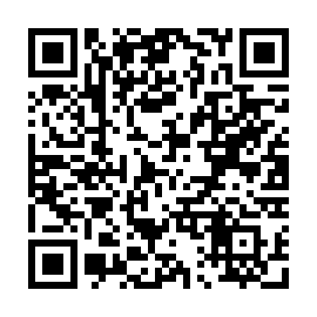 QR code for P16FSS