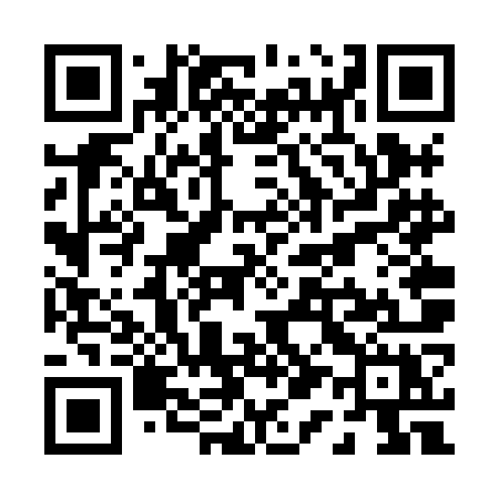 QR code for P16XOX