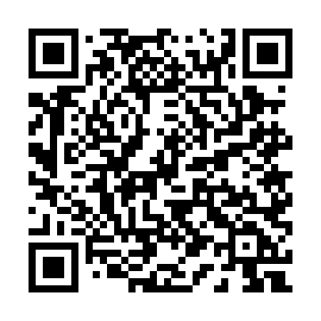 QR code for P170LD