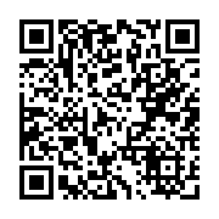 QR code for P171PI