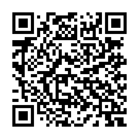 QR code for P17LEC