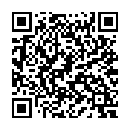 QR code for P17URZ