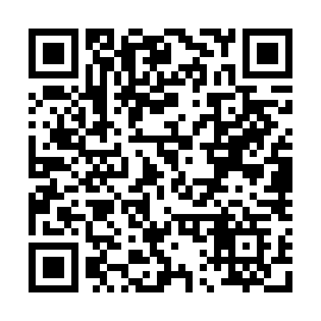 QR code for P17VLG