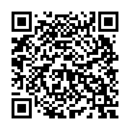 QR code for P2065O