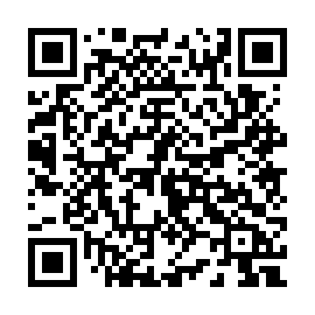 QR code for P207VB
